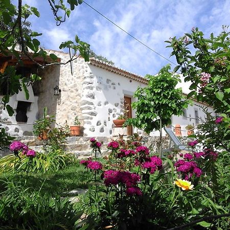 Quinta Do Tempo Turismo Rural Monchique Luaran gambar